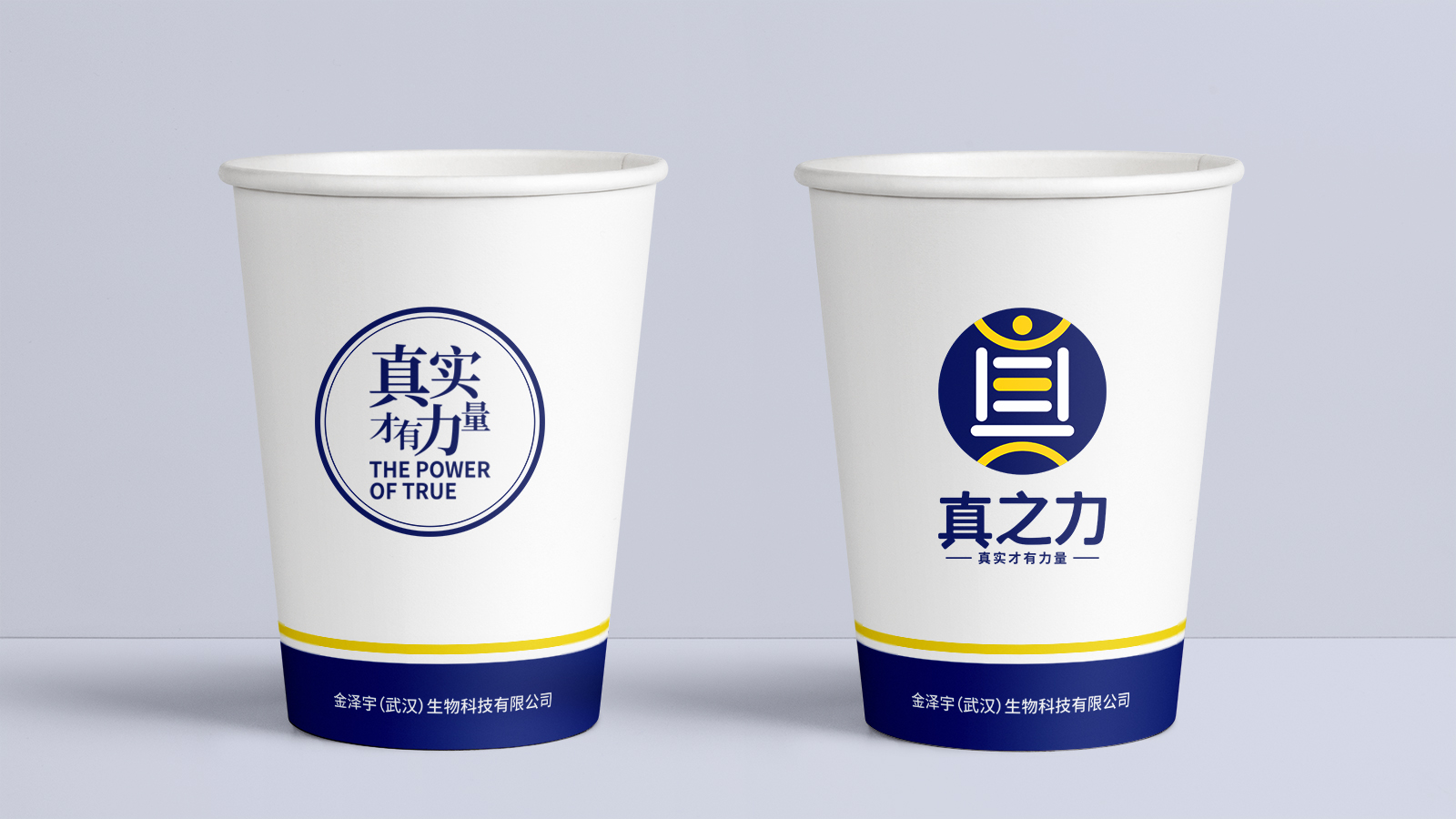 武漢保健養(yǎng)生品牌策劃設(shè)計