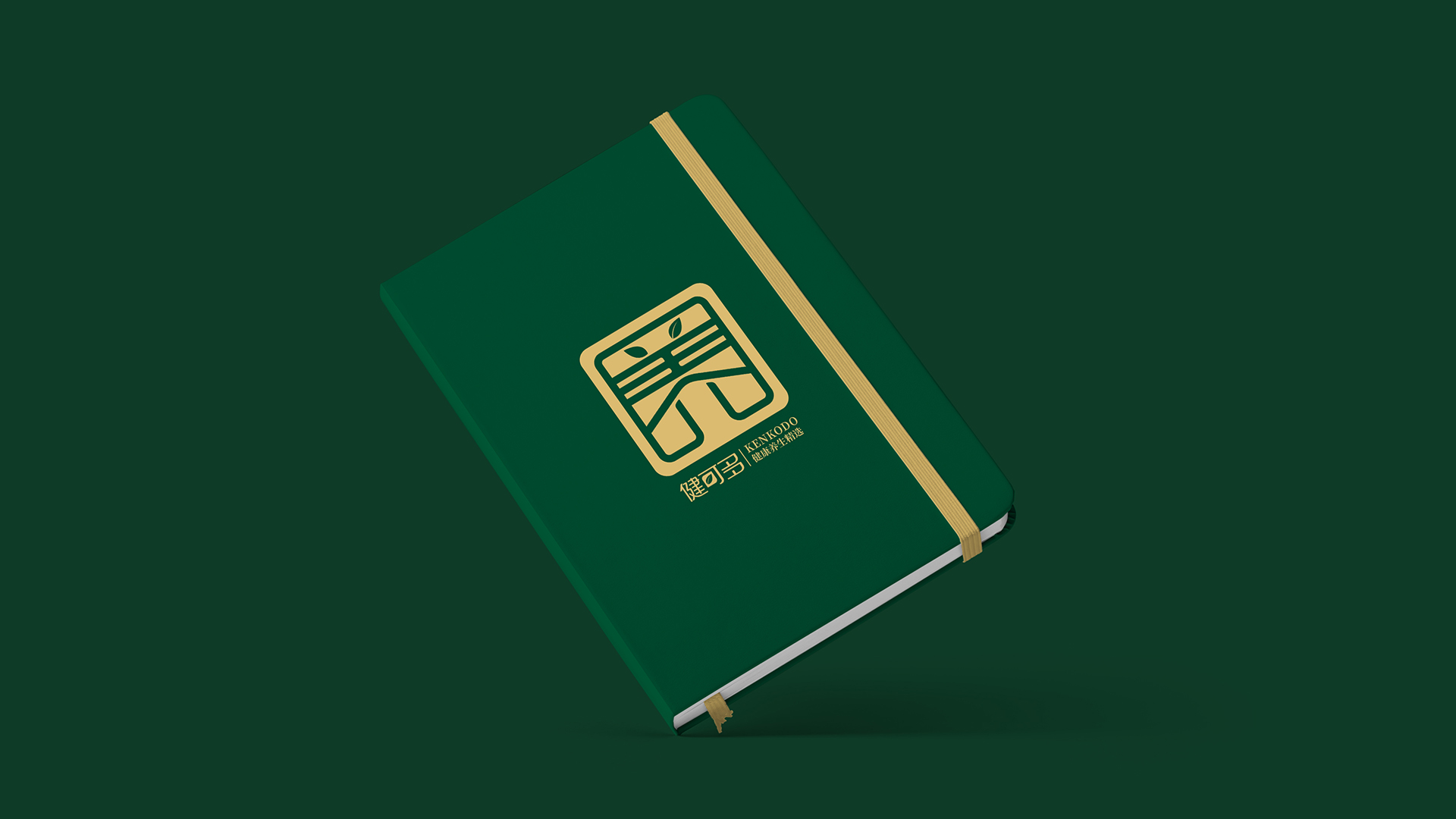 武漢健康養(yǎng)生連鎖品牌營銷策劃設(shè)計(jì)