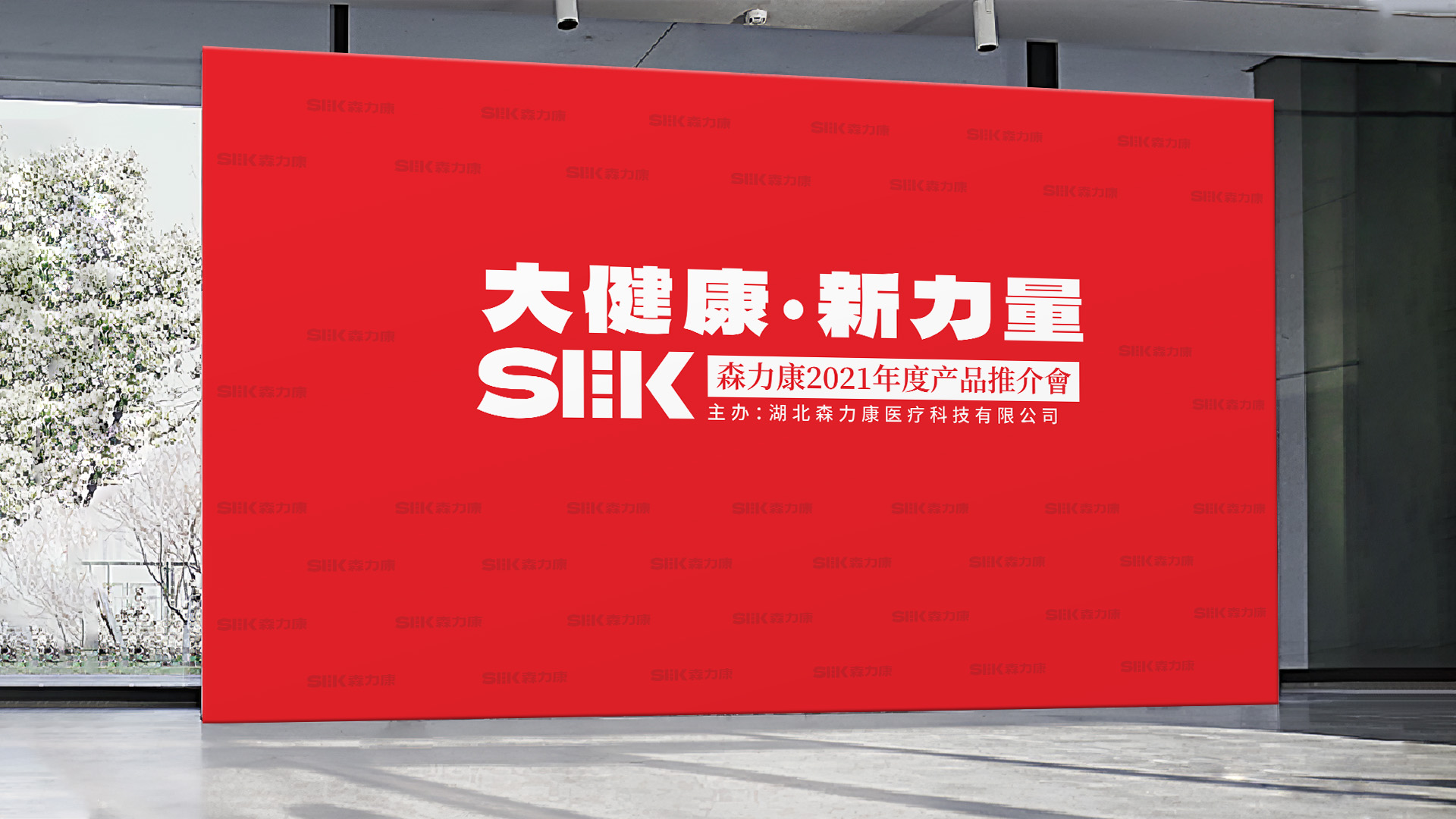武漢醫(yī)藥科技公司品牌與產(chǎn)品策劃設(shè)計