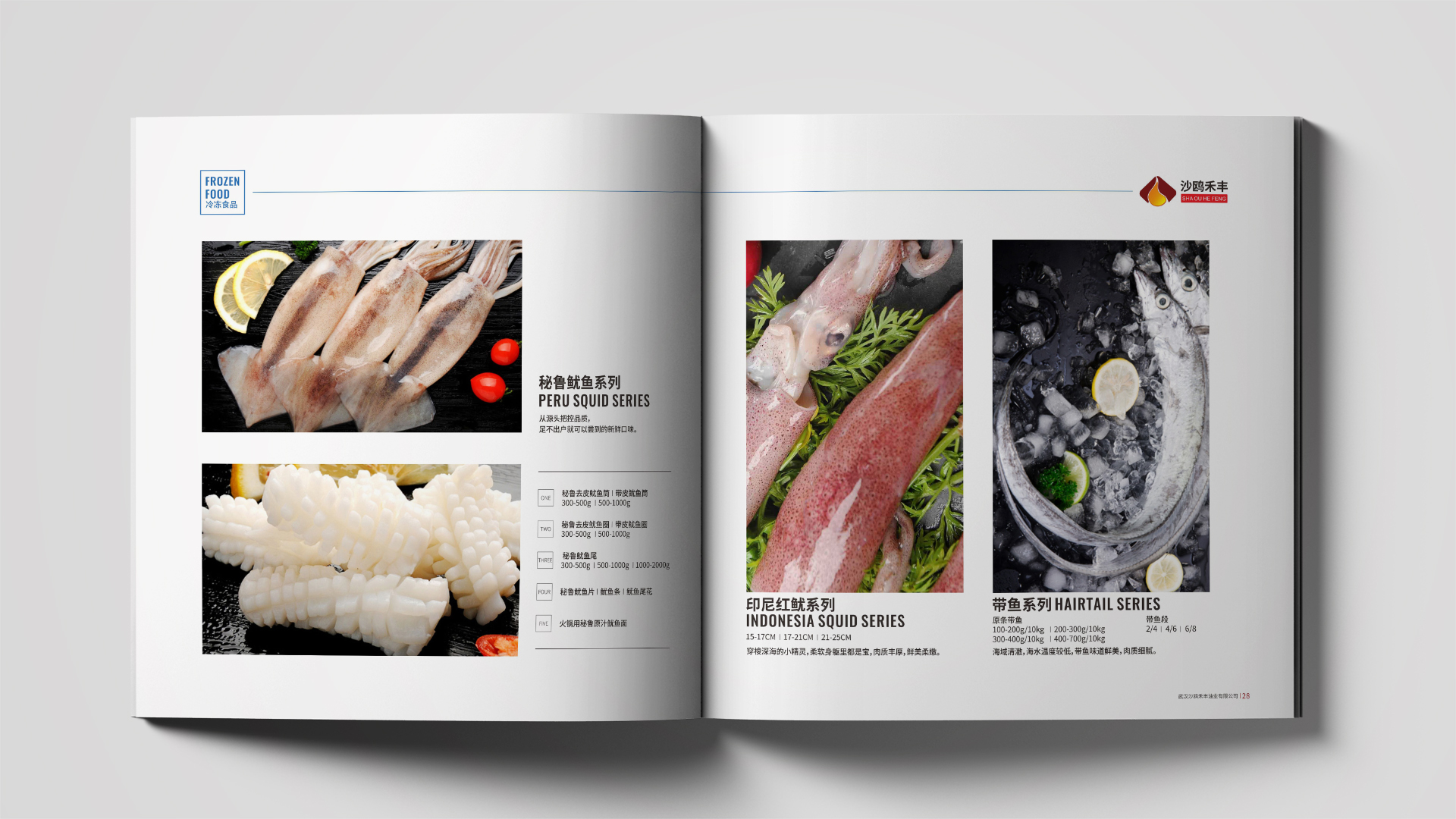 武漢畫冊設計公司