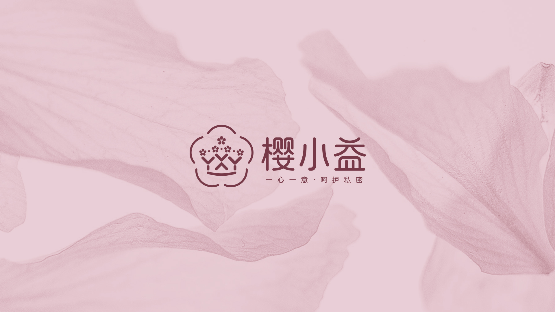 武漢醫(yī)療品牌衛(wèi)生洗護品牌策劃設計